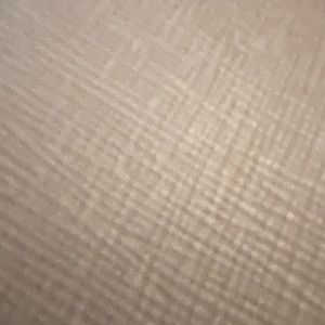 Meet your Posher, Ronni